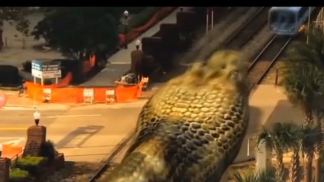 Mega Python VS Gatoroid