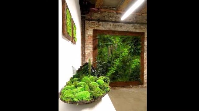 Вертикальное озеленение