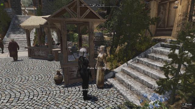 Let's Play Skyrim Anniversary Edition 2022 (+1400 MODS) #10 Das sieht ja toll aus