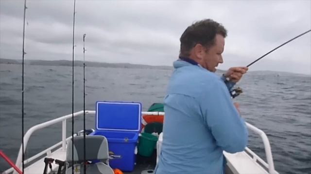 How to catch Kingfish on soft plastics - Ep 26
