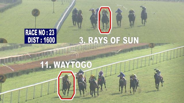 Madras Race Preview 28th January 2022