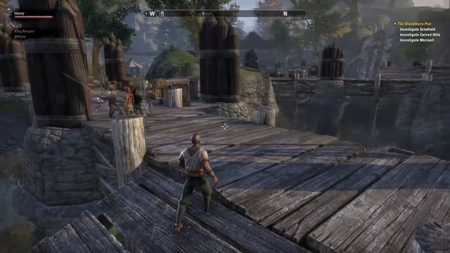 The Elder Scrolls Online Beta #1 (Daggerfall Covenant)