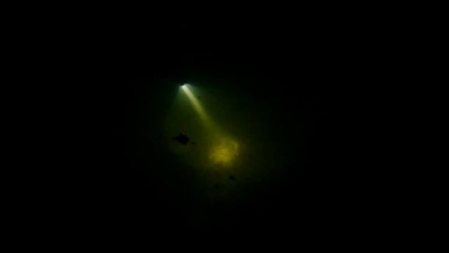Подводная охота река "Днестр"-Часть №2