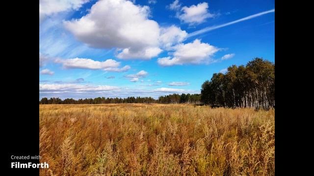 покупайте земли сельхозназначения 6га около р.п. Белореченский Усольского района Иркутской области