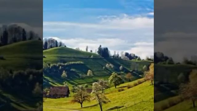 Цудахарская старинная песня