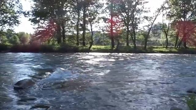 Нежная Музыка и Глубокий Сон  Приятный Отдых