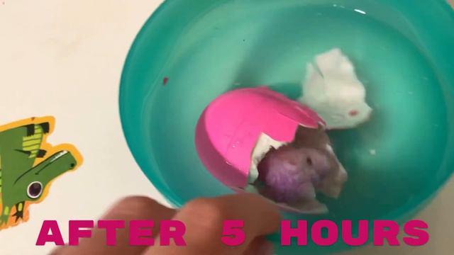 Unicorn Egg Growing Pet. Яйцо единорога РАСТУЩИЙ ПИТОМЕЦ. Как вырастить единорожку дома