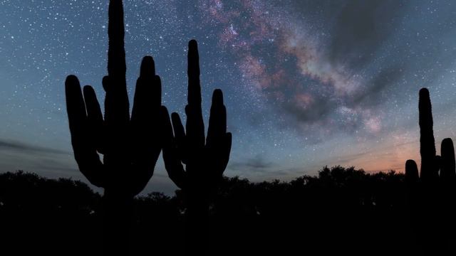 Reptilians, Zombies and Demons On The Real Side