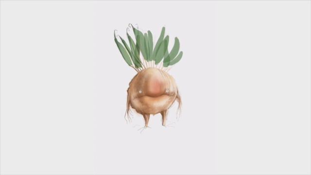 Marbushka GÜ rajz - Reflexshop