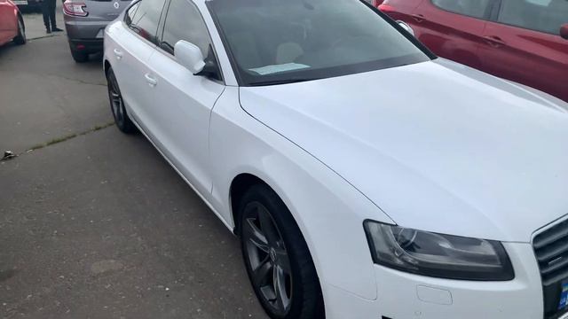 Авторынок «Куяльник» (Яма) Одесса. Обзор рынка, цены на авто