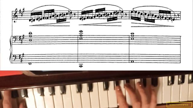 Ф. Абт. Вокализ № 26 (из Части 2) для контральто или меццо-сопрано. А-dur. Adagio. Плюс