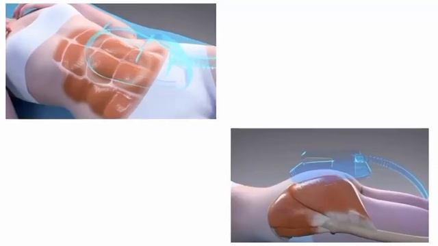 EMS Sculpting Machine For Slimming ,body Shaping And Muscle Increasing