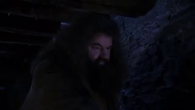 Хугарден (Гарри Поттер)