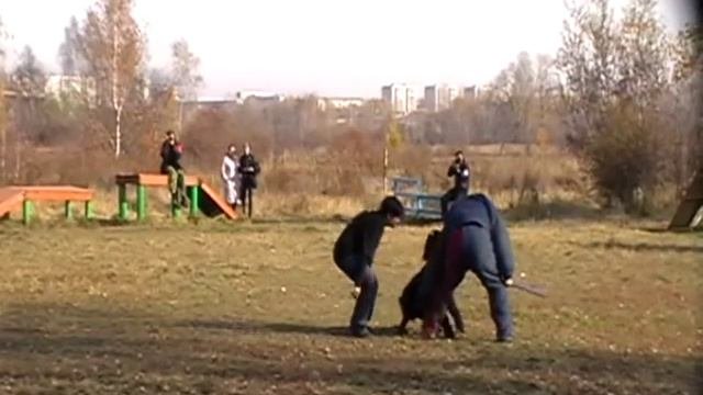 Русский ринг. 2 октября 2011. Гарри