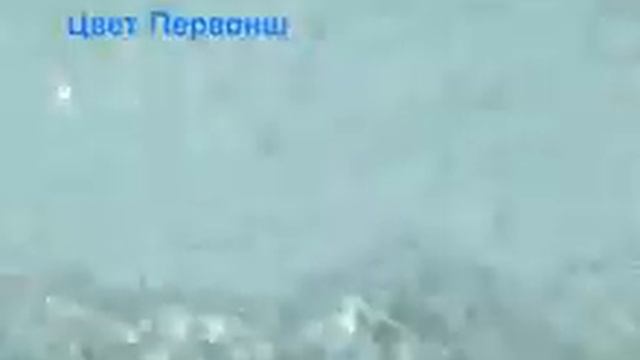 Как выглядит цвет покрытия композитного бассейна под водой