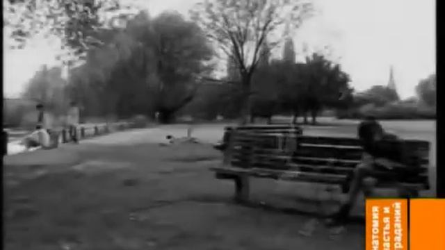 Как мы сами создаём свою судьбу! Анатомия счастья и страданий mp4 Ссылка на исто