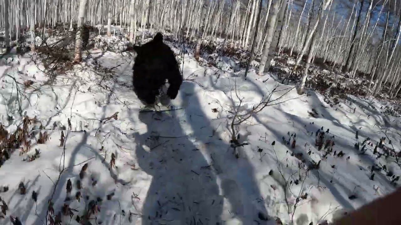 Все испугались, а кого не поняли.