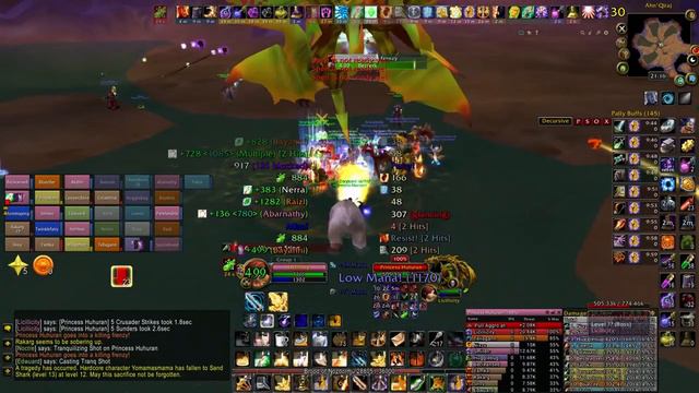 Turtle WoW - Prot Paladin MT Princess Huhuran