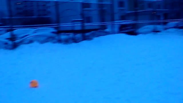 **Удары по воротам** Shots on goal