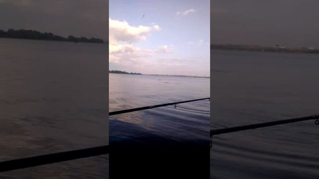 Рыбалка в набережных  Челнах
