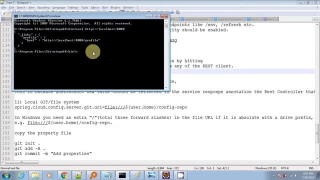 Spring Cloud Config Server And Client