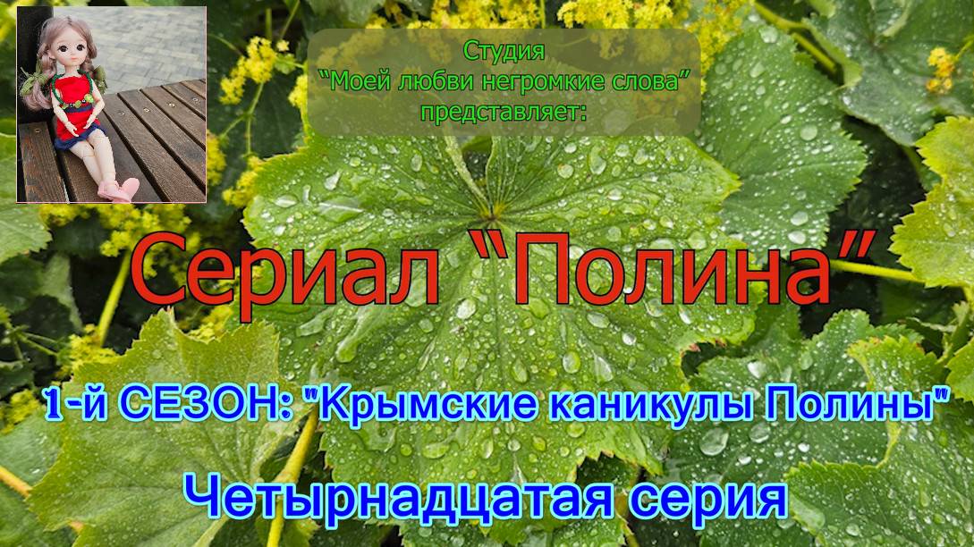14-я серия - Полина и два рассвета в Новом свете