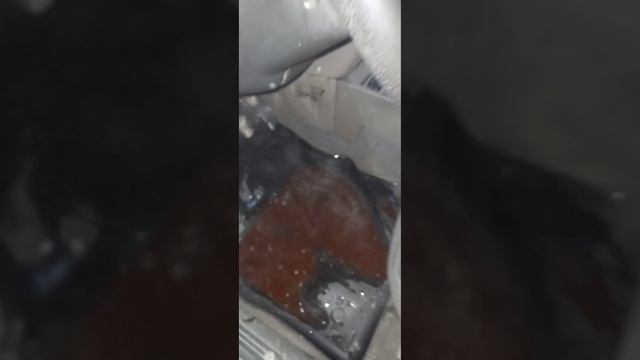калина печка
