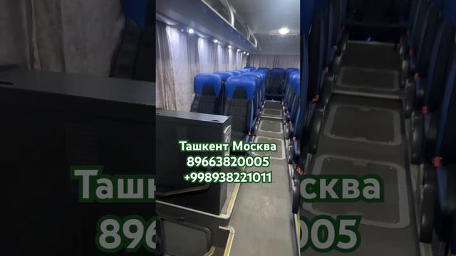 Ташкент Москва Автобус 2024