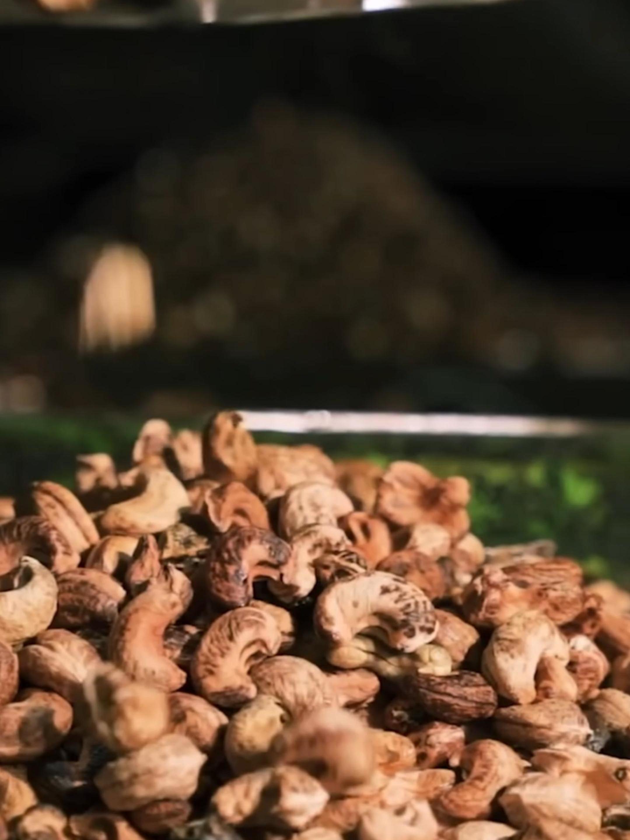 производство орехов КЕШЬЮ #орехи #cashew #кешью