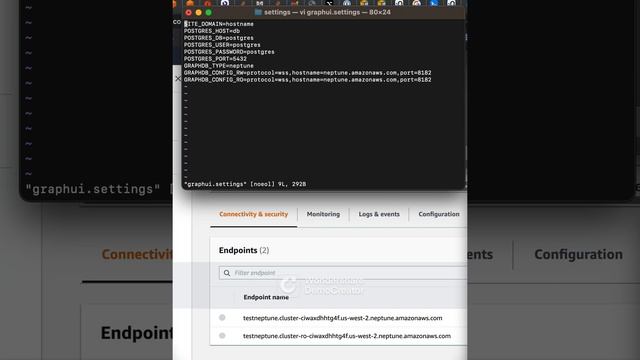 Setting up Different Graph Types - Neptune