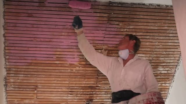 Remove Repair Interior Plaster Ceilings