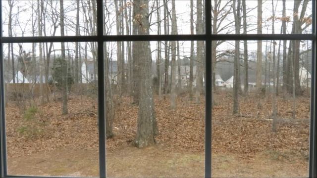 Canon Powershot SX-40 HS HD CHDK Time Lapse - Watching the Ice Arrive
