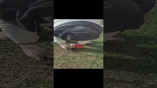 VID_20231102_112327.mp4