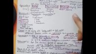 Plant kingdom & Animal kingdom in one shot•| class-11th biology NEET •|Ch-3,4 By garima in hindi•|