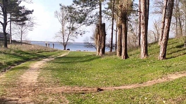 Что происходит в дендропарке города Каховка