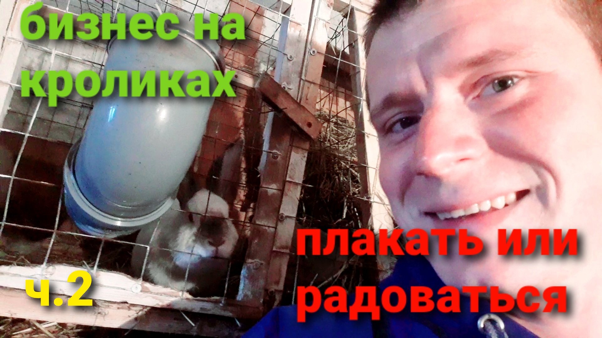 БИЗНЕС НА КРОЛИКАХ|ПЛАКАТЬ ИЛИ РАДОВАТЬСЯ