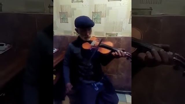 Переможскиэ цигане играют на скрипке