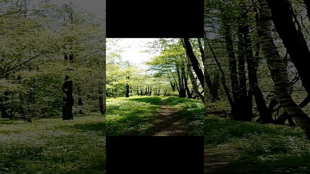 Гуляем по красивым лесам по зелёным лугам. Прогулка на природе за городом в Подмосковье в мае. Ч.8