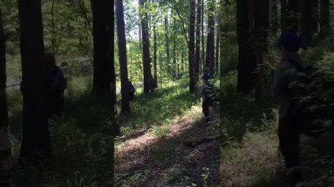 №7 Учимся ходить. 1-ая часть