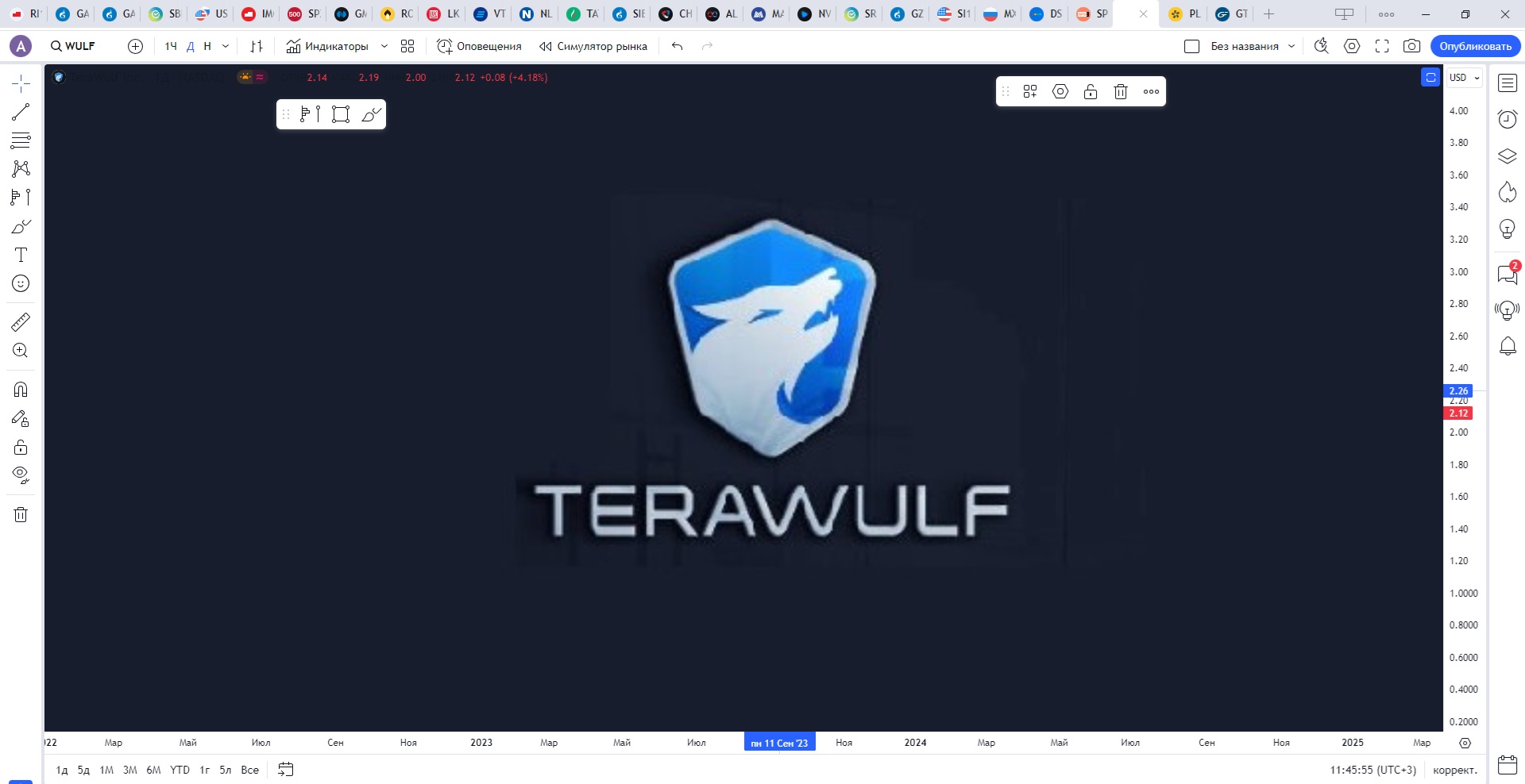 Обзор акции TeraWulf.