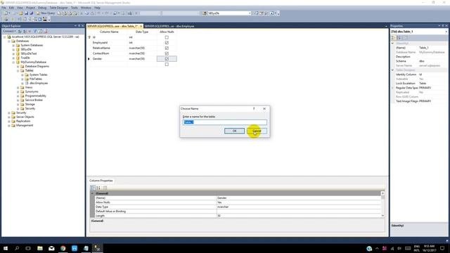 C Using DatasetDataTable  TableAdapter - Part 1