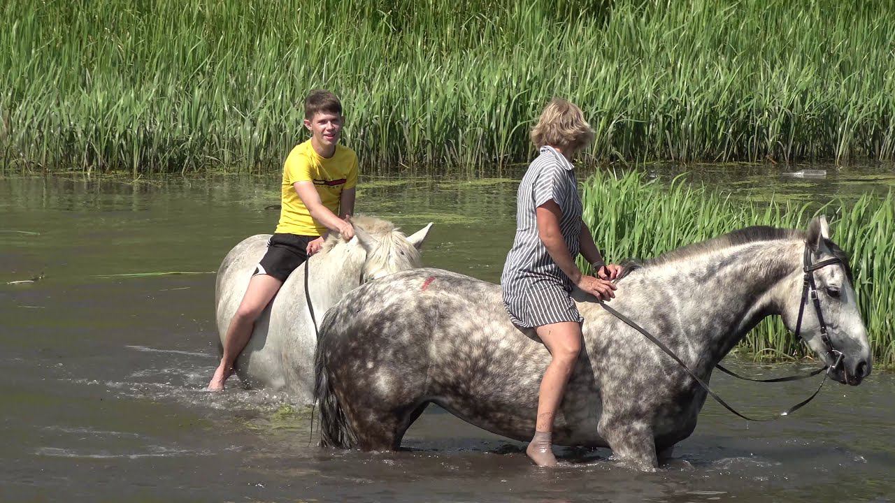 Воргольские скалы Елецкий район Галичья гора