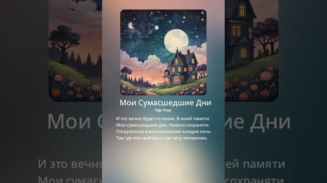 Мои Сумасшедшие Дни (online-video-cutter.com)