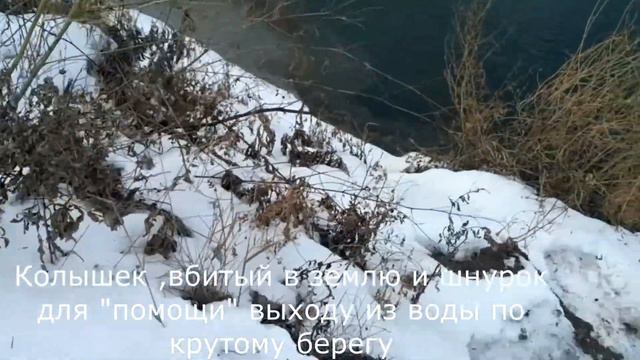 Ик 27 .11. суббота 12 час  15 мин