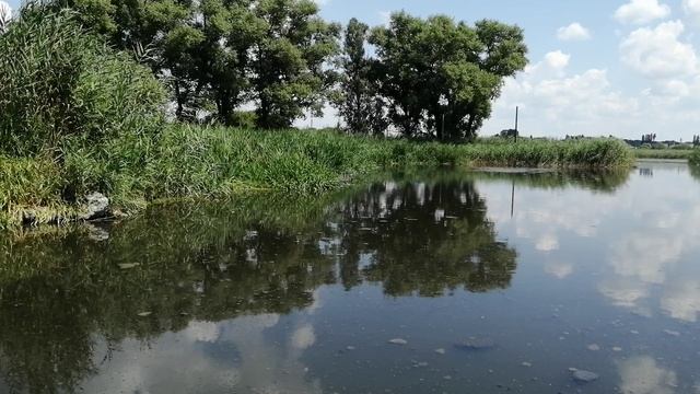Река Разумная 2, Белгород