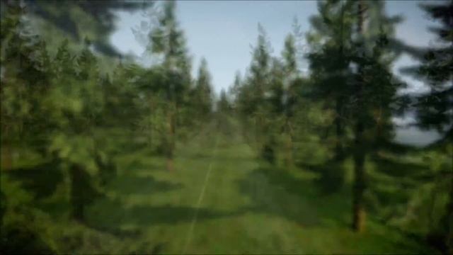 История модификации GTA:Criminal Russia