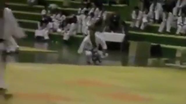 DEMO Korea Hapkido Federation