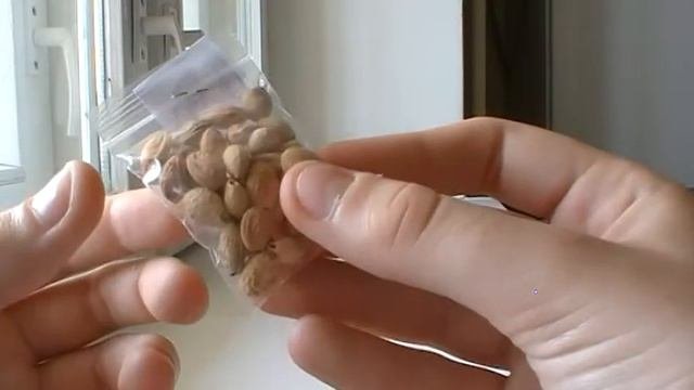 СЕМЕНА С AliExpress !!!Посылка с Али