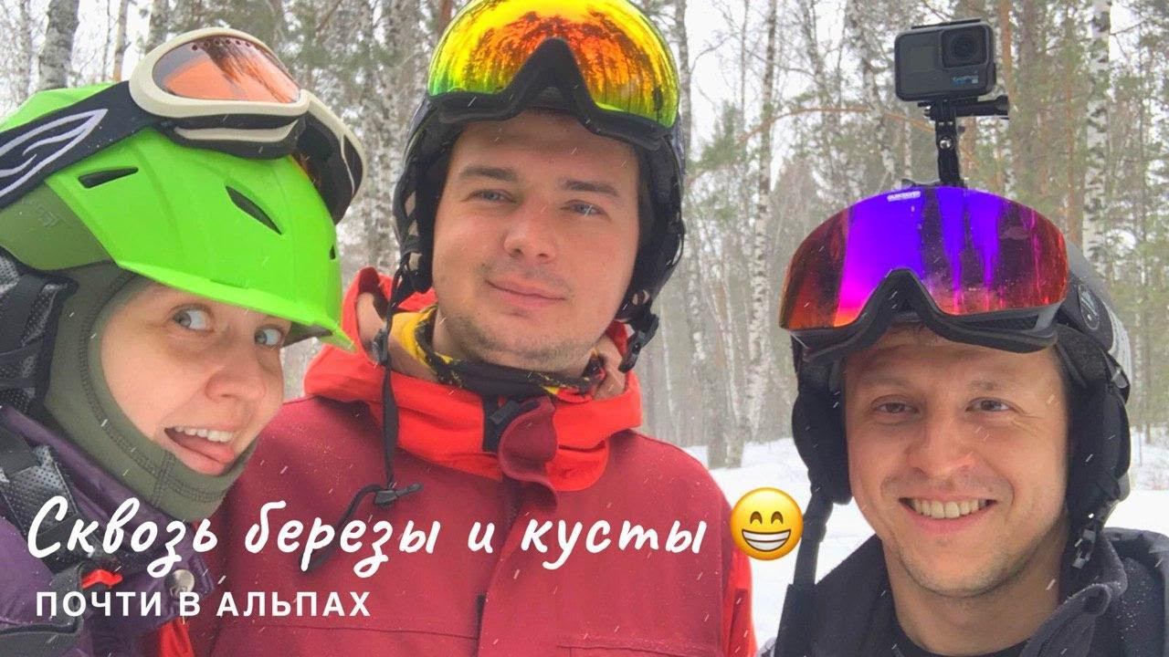 Сквозь березы и кусты