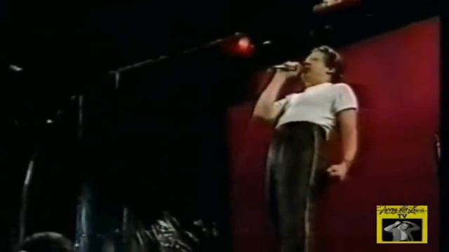 Jerry Lee Lewis Live New York Rock and Roll Reunion 1978